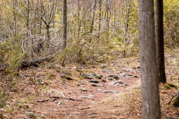 Hiking