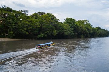Ecotours