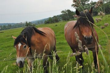 Ecotours
