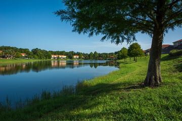 Lake