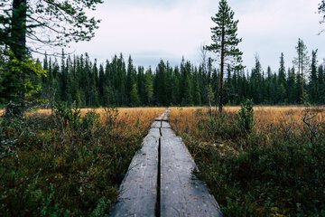 Hiking