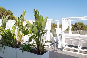 Rooftop terrace