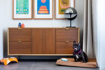 Pet-friendly amenities