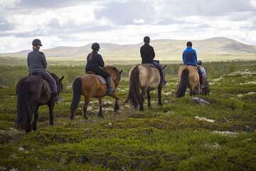 Horseback riding