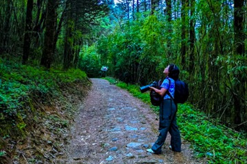 Hiking