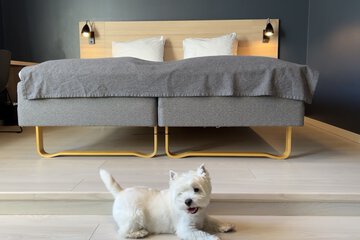 Pet-friendly