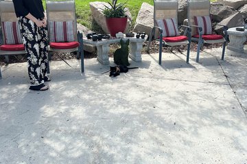 Pet-friendly
