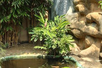 Photo 28