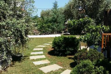 Photo 49