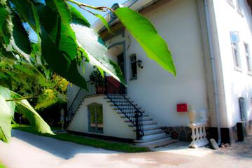 Photo 37