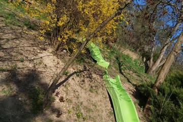 Photo 33