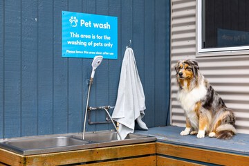 Pet-friendly amenities