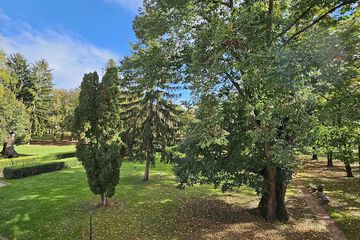 Park view