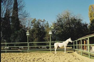 Horseback riding