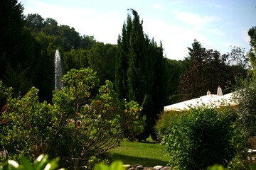 Garden view