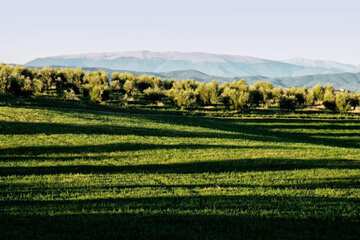 Land view from property
