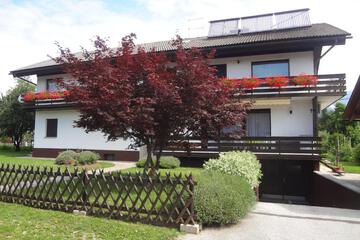 Photo 45