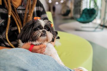 Pet-friendly amenities