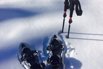 Snowshoeing