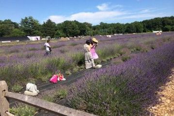 Outdoor Wedding Area