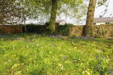 Photo 30