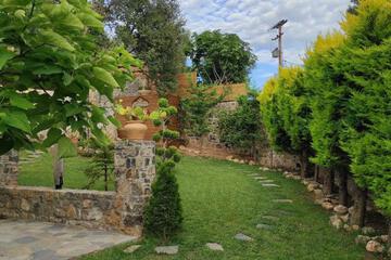 Photo 44