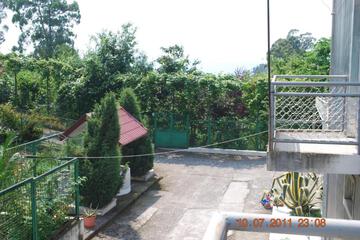 Photo 62