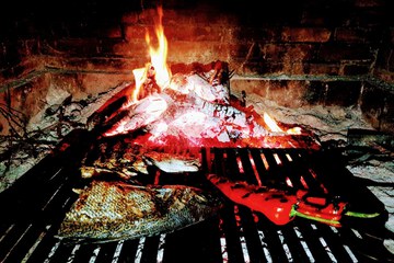 BBQ/picnic area
