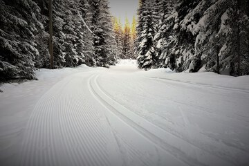 Snow and ski sports