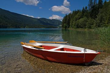 Photo 43