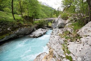 Photo 28