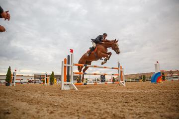 Horseback riding