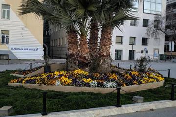 Photo 42