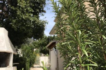 Photo 37