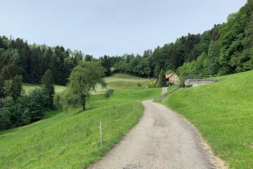 Hiking