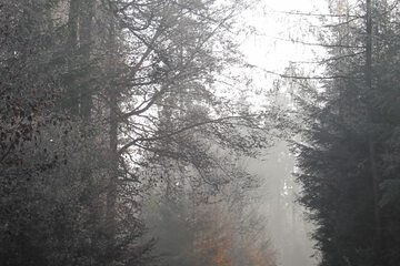 Hiking