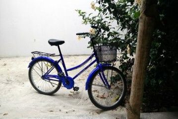 Bicycling