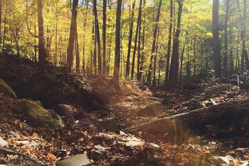 Outdoor Activities 40 of 43