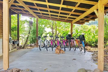 Bicycling