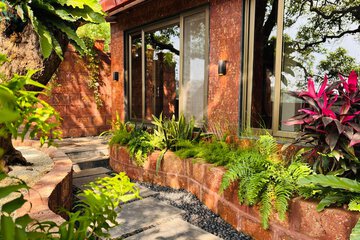 Garden view