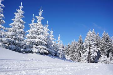 Skiing