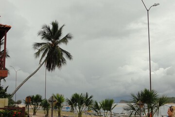 City view from property