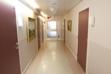 Photo 45
