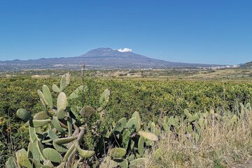 Land view from property