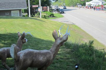 Property Grounds 35 of 39