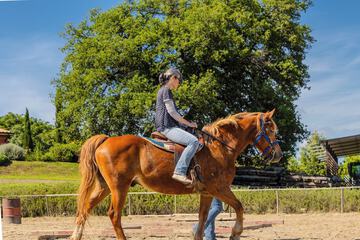 Horseback riding