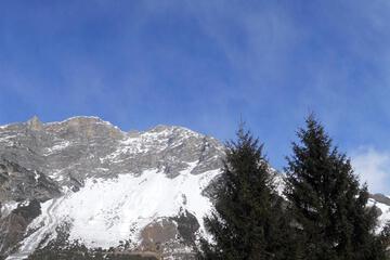 Photo 31