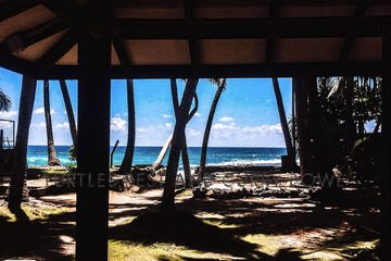 Beach/ocean view