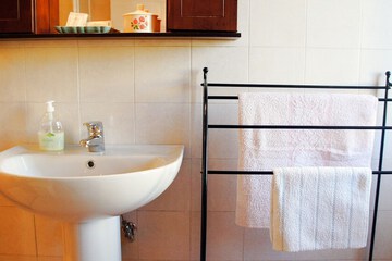 Bathroom sink