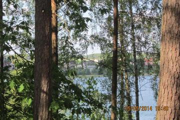 Photo 42